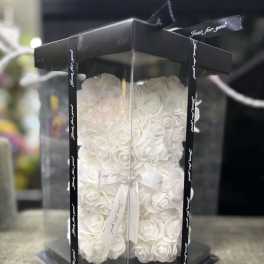 White rose teddy bear in a clear gift box with black ribbon trim