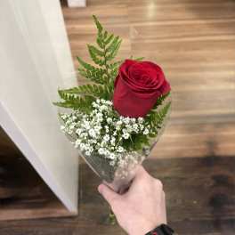 Single red rose bouquet with baby's breath in clear wrap