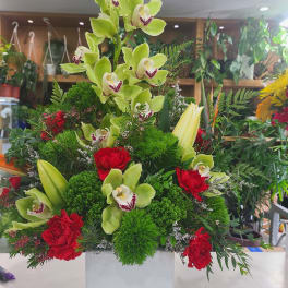 Green orchid and red carnation arrangement in a white vase