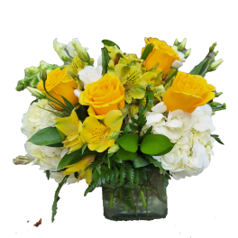 Yellow roses and white hydrangeas in a square glass vase