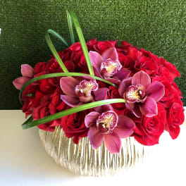 Orchids Touch 50 Roses - Santa Clarita Florist