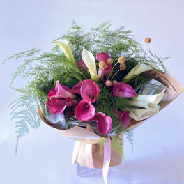 Bouquet of pink and white calla lilies with airy greenery
