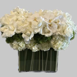 White floral arrangement in a clear rectangular vase