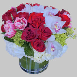 Red roses and white orchids in a glass vase with white hydrangeas