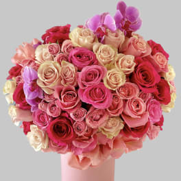 Bouquet of pink and peach roses in a pink vase with purple orchids