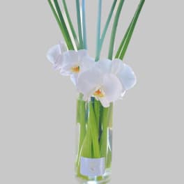 White orchids and tall green calla lilies in a clear glass vase