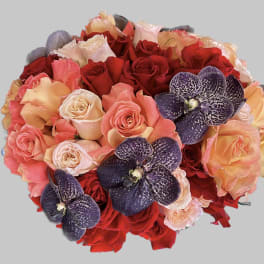 Round bouquet of red, peach, and cream roses with dark purple orchids