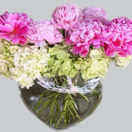 Pink peonies and pale hydrangeas arranged in a round glass vase
