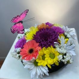 Colorful mixed daisy bouquet with a pink butterfly pick
