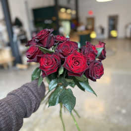 Black Baccara Roses in a Vase