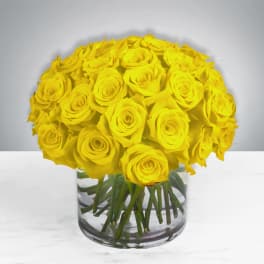 Yellow roses arranged in a clear glass vase