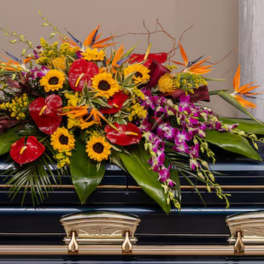Tropical casket spray with yellow sunflowers, red blooms, purple orchids, and orange birds of paradise.