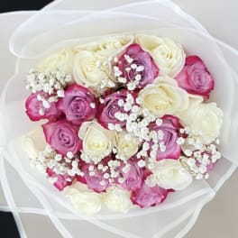 Wild Roses