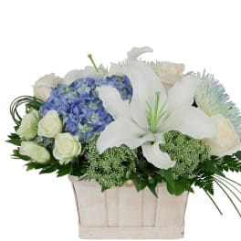 Comfort Basket