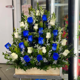 Blue and white roses arranged in a rectangular box