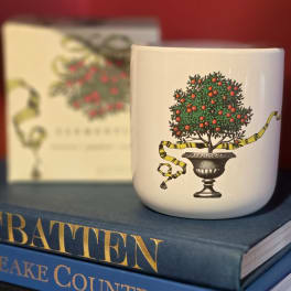White ceramic mug with a potted tree illustration on books