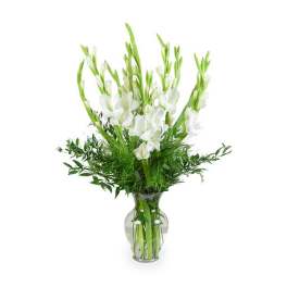 White gladiolus arrangement in a clear glass vase