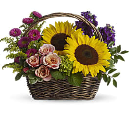 Basket arrangement with sunflowers, pink roses, and purple flowers