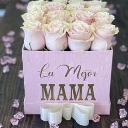 LA MEJOR MAMA