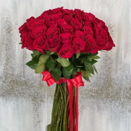 My Love For You