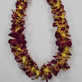Lei made of burgundy and yellow orchids