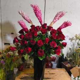Roses And Ginger