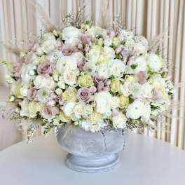 Floral Wonder
