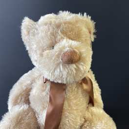 Cream-colored teddy bear with a brown satin ribbon