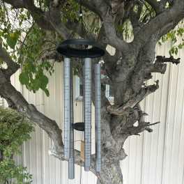 Wind chime hanging from a tree branch