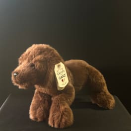 Brown plush dog with a hanging tag on a dark surface