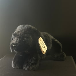 Black plush dog with a hanging tag on a dark surface