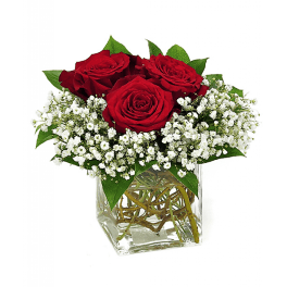 Red roses in a clear square vase with white baby's breath