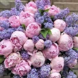Pink peonies mixed with purple lilac blooms in a dense bouquet