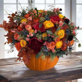Fancy pumpkin !