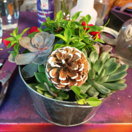 Succulent arrangement in a metal bucket with a painted pinecone centerpiece