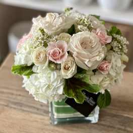 Blush - FB