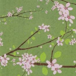 Cherry blossom branches on a green patterned background