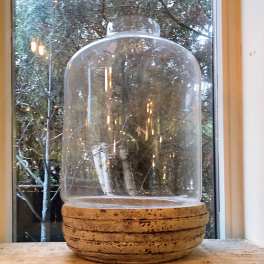 Clear glass cloche on a round wooden base