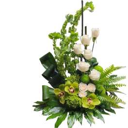 Arrangement