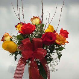 Dozen Fall Roses