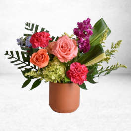 Tropic Bloom Pulse