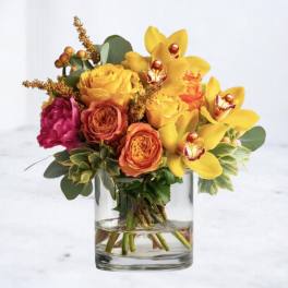 Elegant Blooms