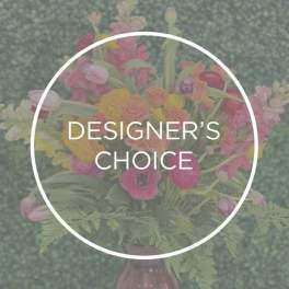 Day Designer's Choice 1