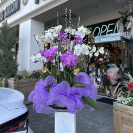 Tall orchid arrangement with purple and white blooms in a purple wrap