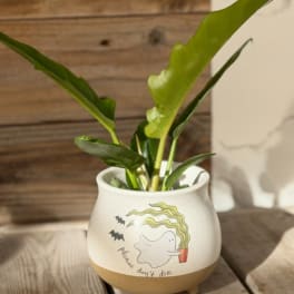 Potted green houseplant in a white ceramic planter with a ghost illustration