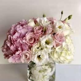 BLUSH HARMONY