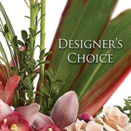 DESIGNER'S CHOICE