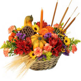 Autumn Gourds