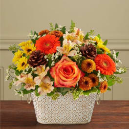 Lilies Delivery El Paso | Carter's Flowers