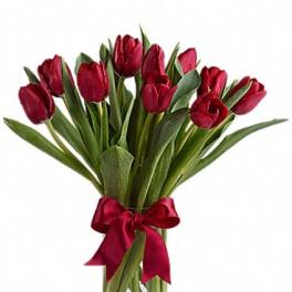 Radiantly Red Tulips